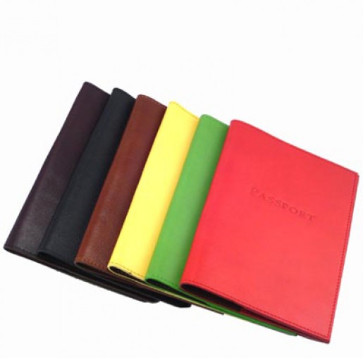 Bright Colored Passport Sleeve